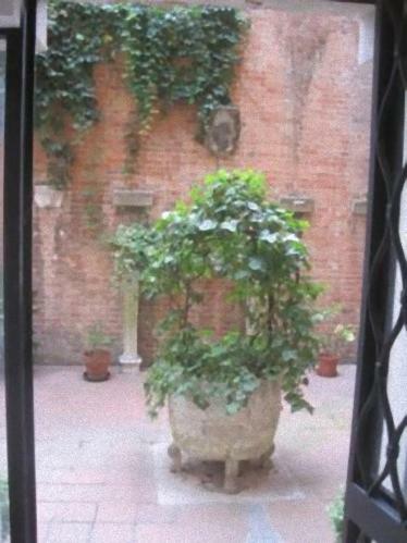 Ca Savelli Lägenhet Venedig Exteriör bild